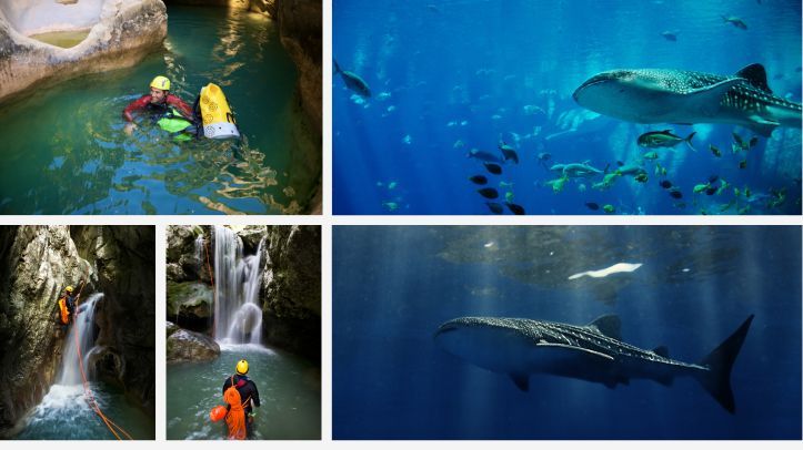 Бадиан Кањон и пливање со кит-ајкули