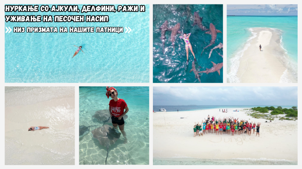 Нуркање со ајкули, делфини, ражи и уживање на песочен насип