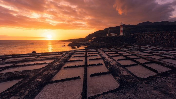 Salt Lake, Blue Eye and Shark Bay