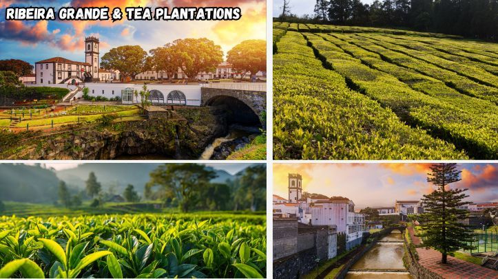 Ribeira Grande & Tea Plantations