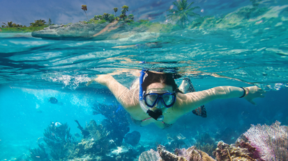 Фармата на крокодили и Guama Snorkeling