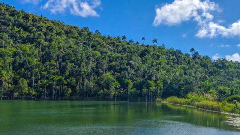 Las Terrazas Zip-lining