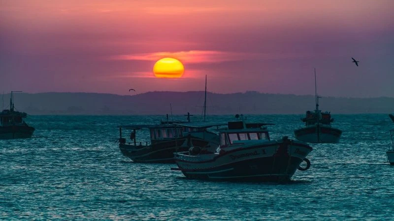 Sunset Fishing