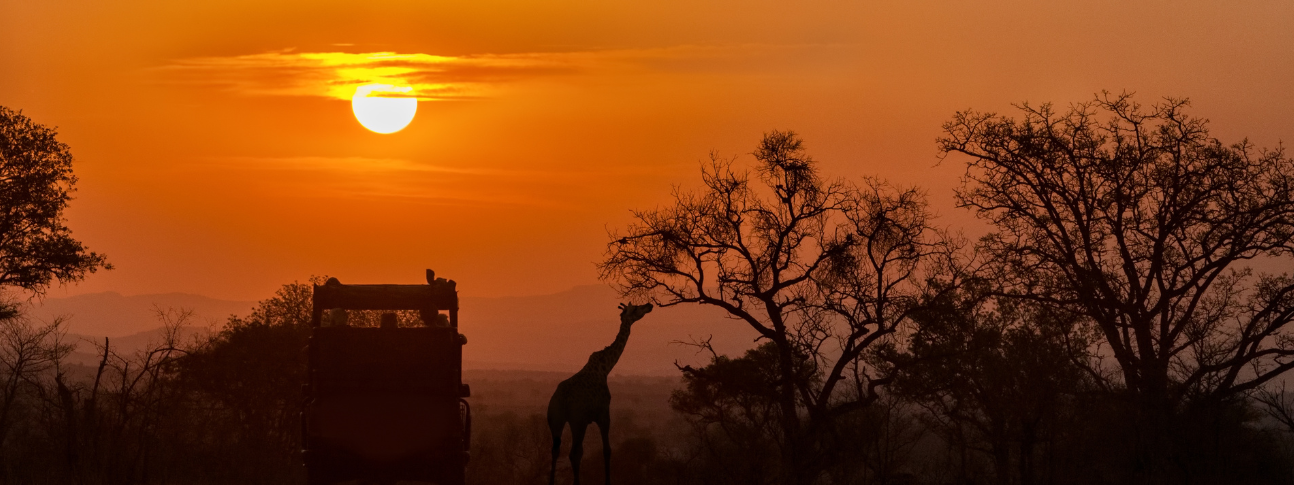 Намибија сафари